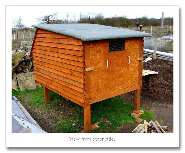 Yam Coop Green frog designs chicken coop